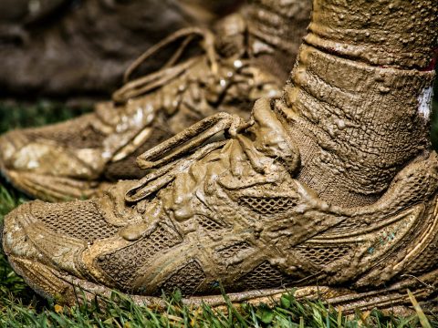 Best Indoor Lacrosse Turf Shoes for 2026: The Box Players Guide