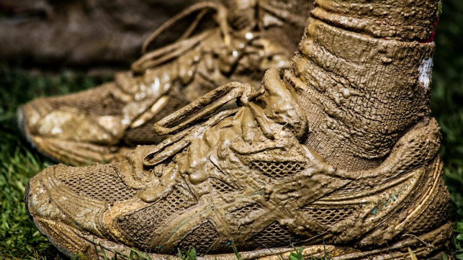 Best Indoor Lacrosse Turf Shoes for 2026: The Box Players Guide