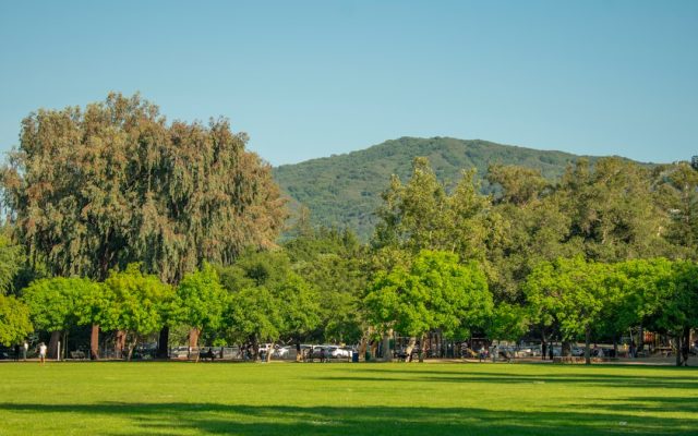 Ally Mastroianni and the California Palms: Building Women’s Pro Lacrosse on the West Coast