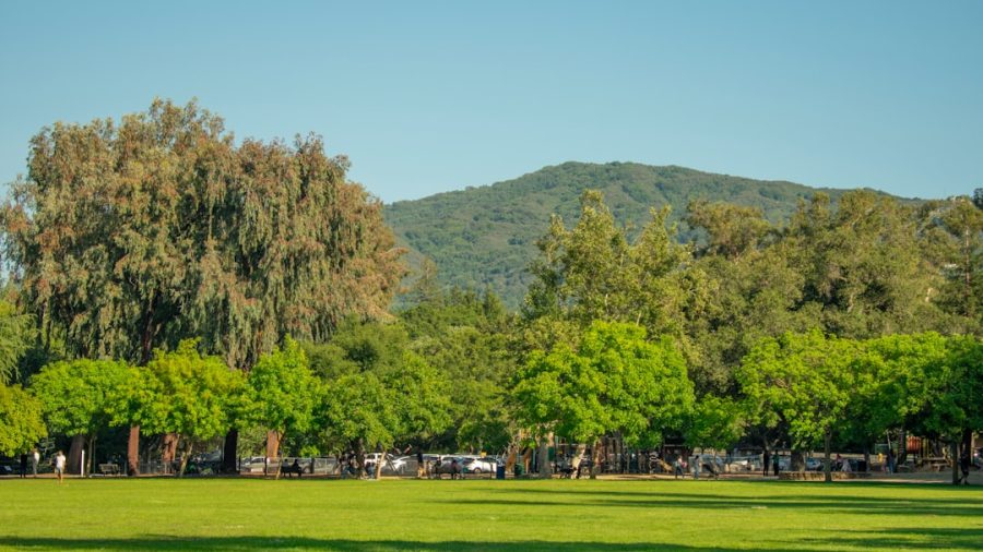 Ally Mastroianni and the California Palms: Building Women’s Pro Lacrosse on the West Coast