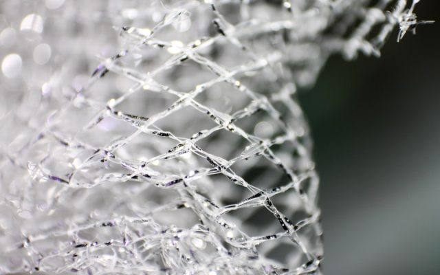 ECD Carbon Pro 2.0 Mesh Review: Three Months of Real-World Testing