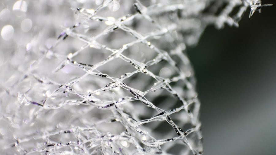ECD Carbon Pro 2.0 Mesh Review: Three Months of Real-World Testing